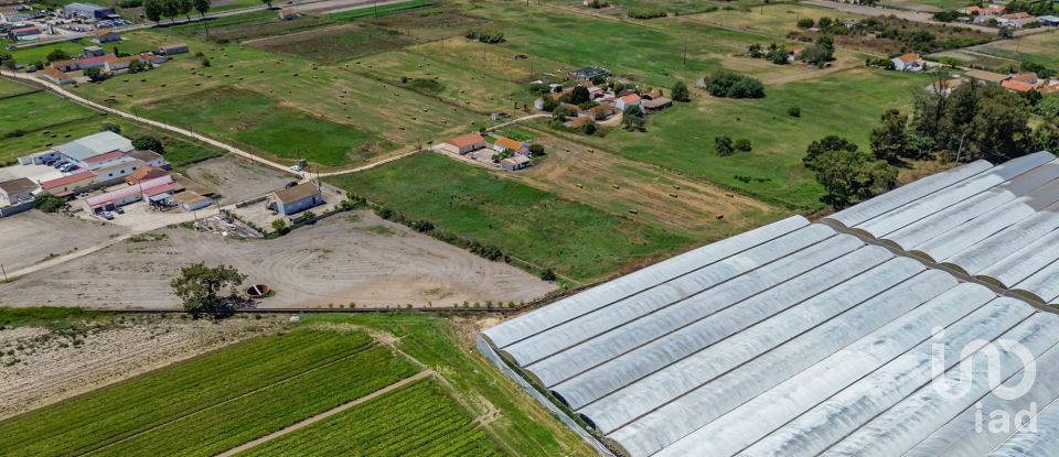 Land in Montijo e Afonsoeiro of 11,527 m²