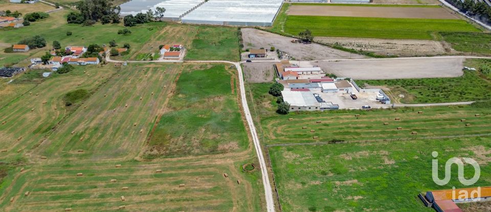 Land in Montijo e Afonsoeiro of 11,527 m²