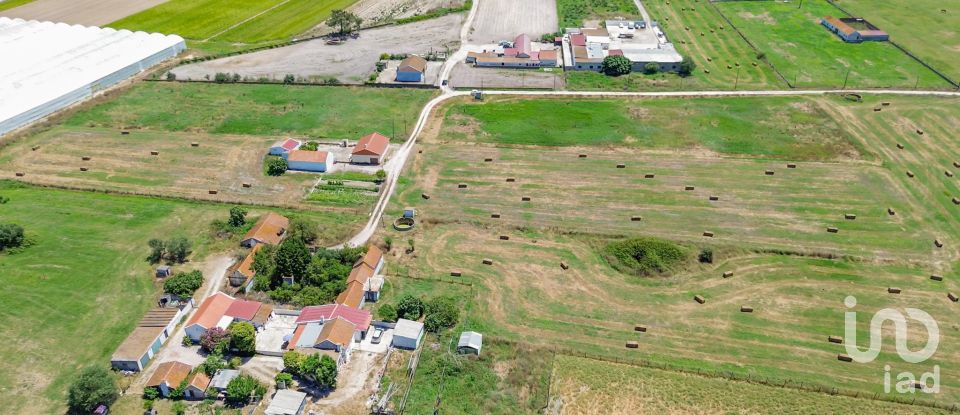 Land in Montijo e Afonsoeiro of 11,527 m²