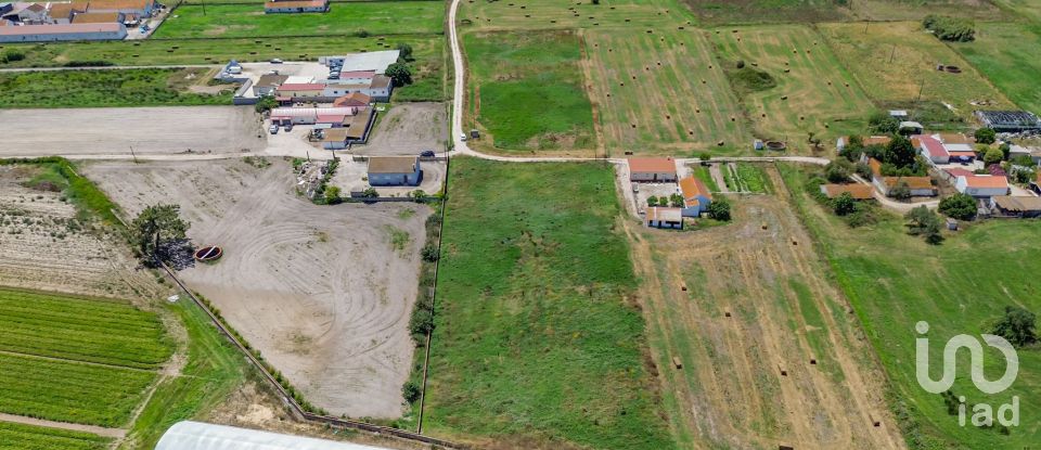 Land in Montijo e Afonsoeiro of 11,527 m²