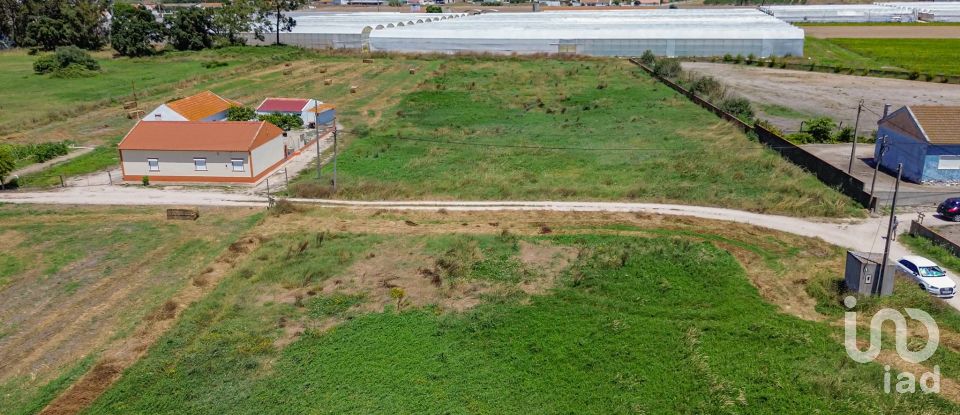 Land in Montijo e Afonsoeiro of 11,527 m²