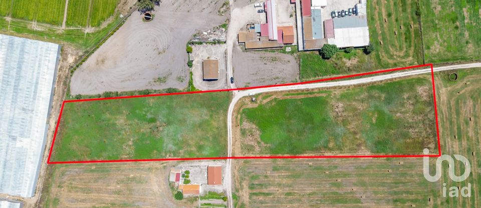 Land in Montijo e Afonsoeiro of 11,527 m²