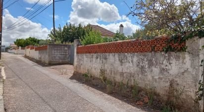 Land in Rio Maior of 551 m²