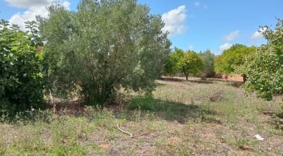 Land in Rio Maior of 551 m²