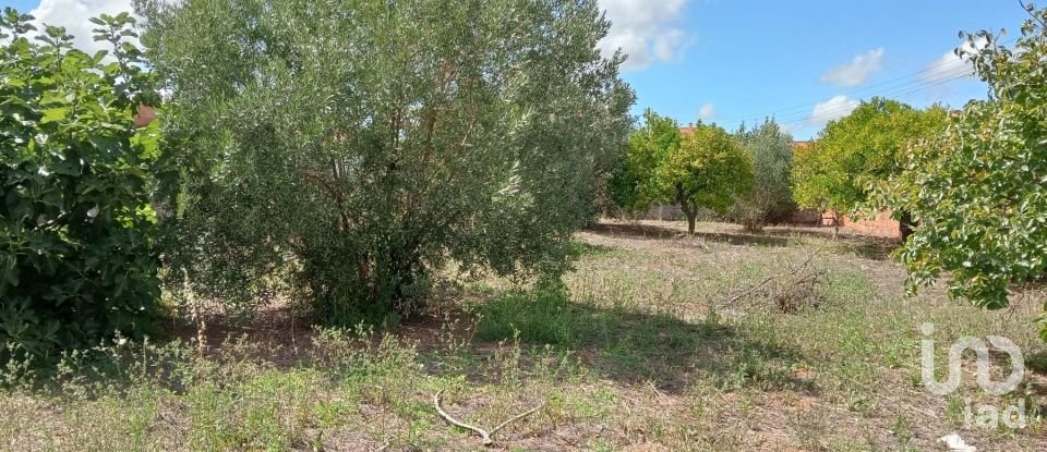 Land in Rio Maior of 551 m²