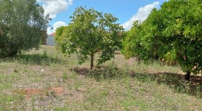 Land in Rio Maior of 551 m²