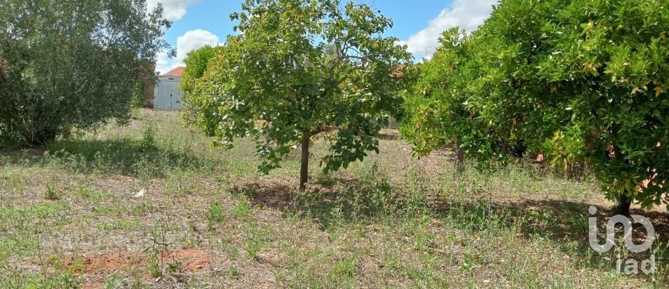 Land in Rio Maior of 551 m²