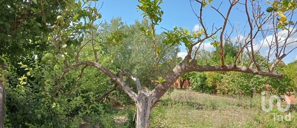 Land in Rio Maior of 551 m²