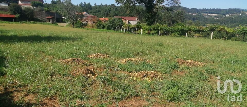 Ferme T2 à Fontoura de 150 m²