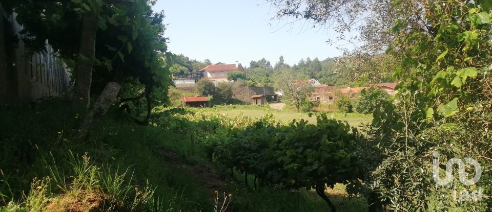 Farm T2 in Fontoura of 150 m²