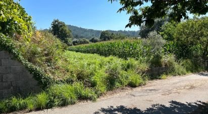 Land in Ribeira of 1,609 m²