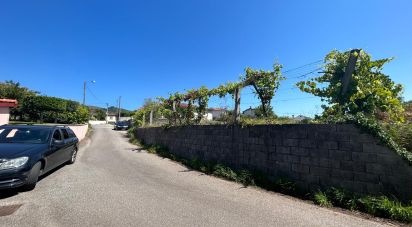 Land in Ribeira of 1,609 m²