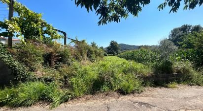 Land in Ribeira of 1,609 m²