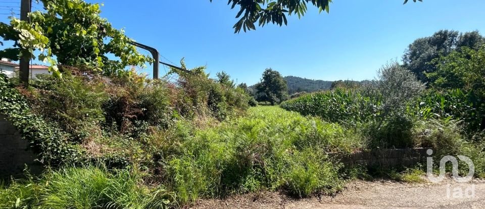 Land in Ribeira of 1,609 m²