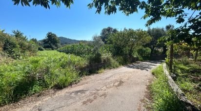 Land in Ribeira of 1,609 m²