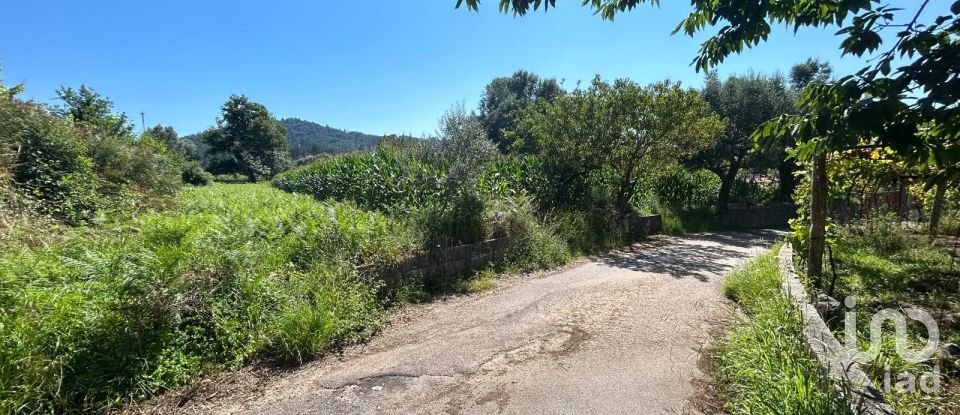 Land in Ribeira of 1,609 m²