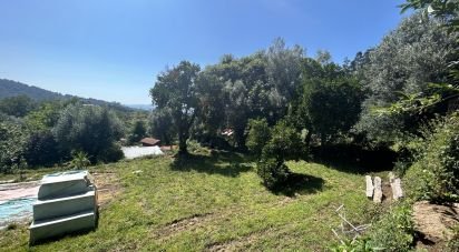 Land in Ribeira of 820 m²