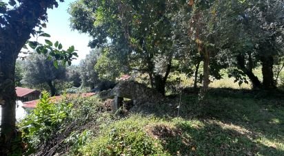 Land in Ribeira of 820 m²