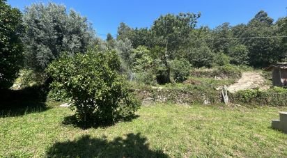 Land in Ribeira of 820 m²