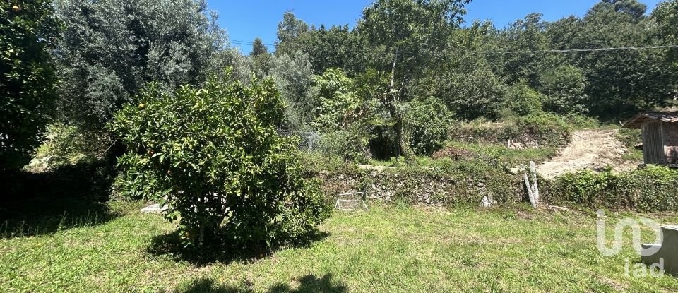 Land in Ribeira of 820 m²