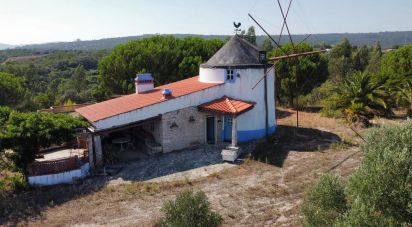 Land in Alcanede of 28,800 m²