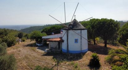 Terrain à Alcanede de 28 800 m²