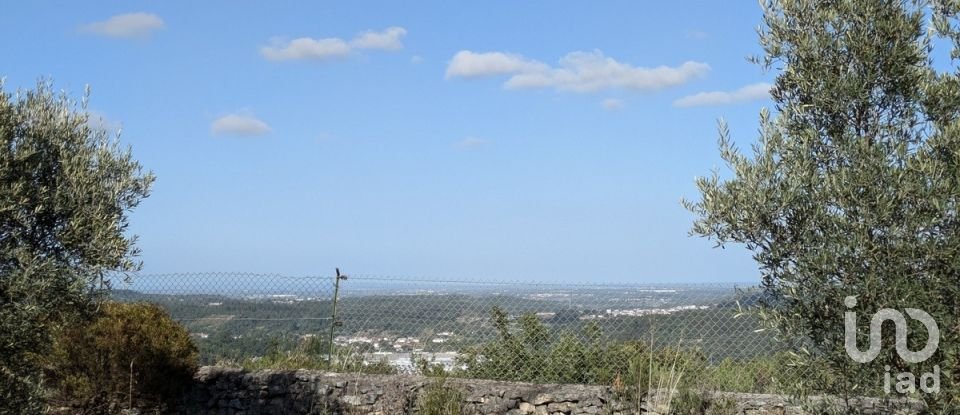 Terrain à Alcanede de 28 800 m²