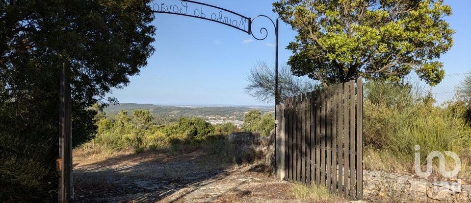 Land in Alcanede of 28,800 m²