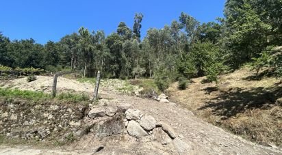 Land in Ribeira of 1,100 m²