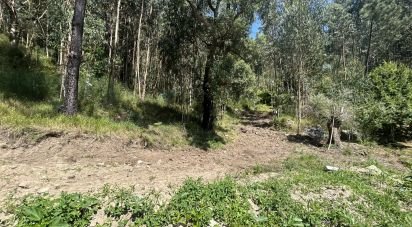 Land in Ribeira of 1,100 m²