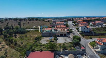 Casa / Villa T5 em Pinhel de 480 m²