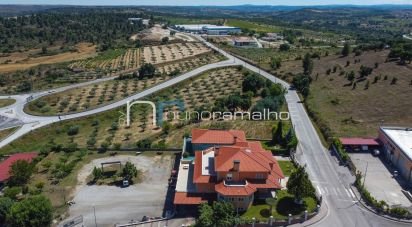 Casa / Villa T5 em Pinhel de 480 m²