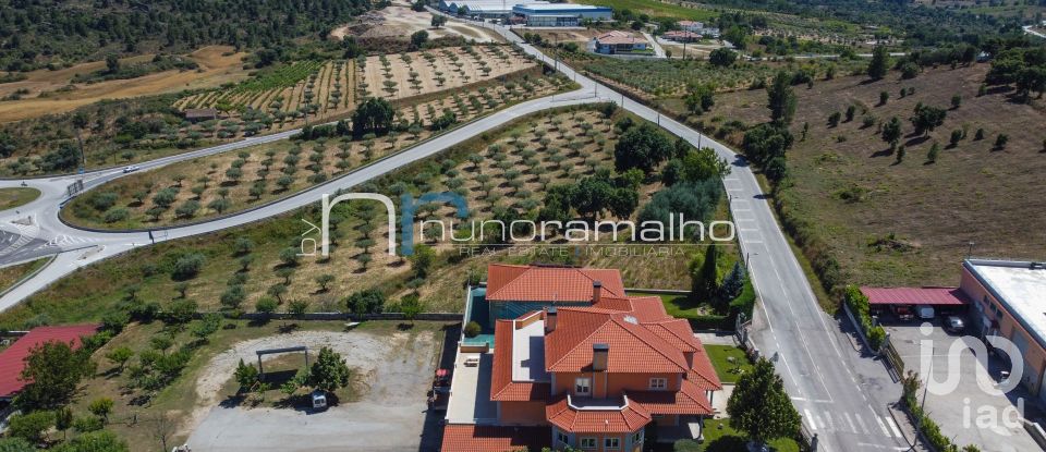 Casa / Villa T5 em Pinhel de 480 m²