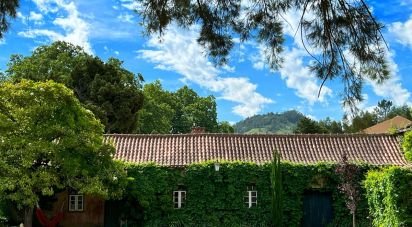 Farm T12 in Maxial e Monte Redondo of 690 m²