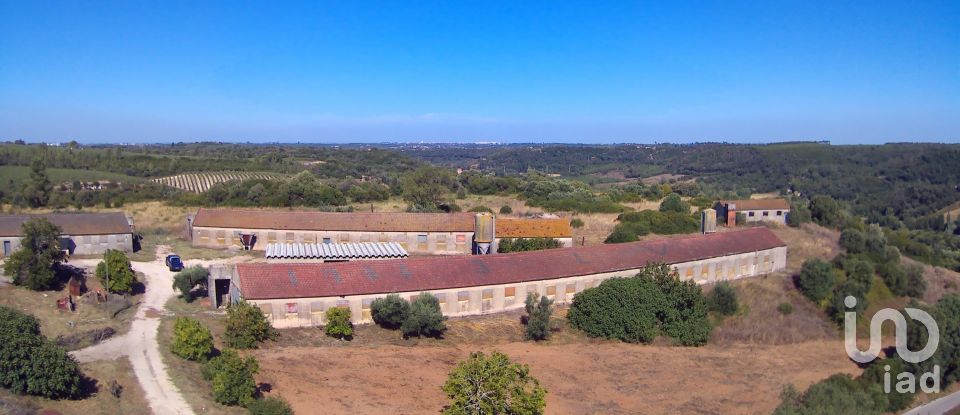 Ferme T3 à Almoster de 2 364 m²