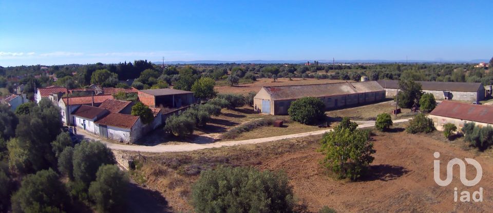 Ferme T3 à Almoster de 2 364 m²