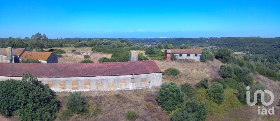 Ferme T3 à Almoster de 2 364 m²