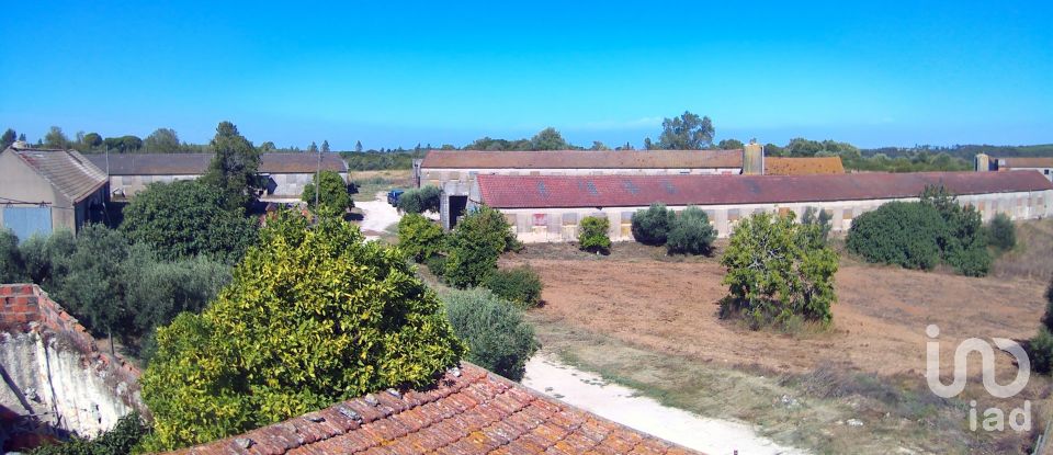 Ferme T3 à Almoster de 2 364 m²