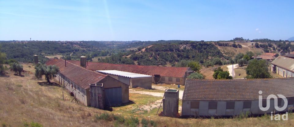 Ferme T3 à Almoster de 2 364 m²