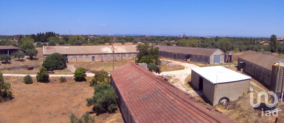 Ferme T3 à Almoster de 2 364 m²