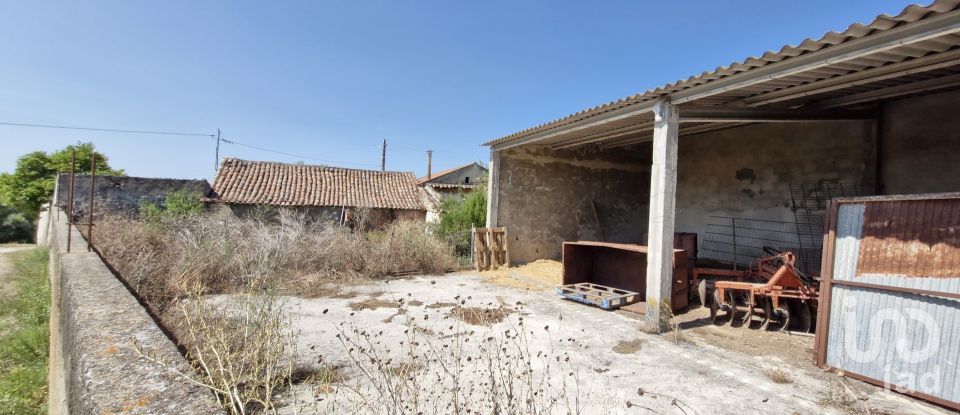 Ferme T3 à Almoster de 2 364 m²