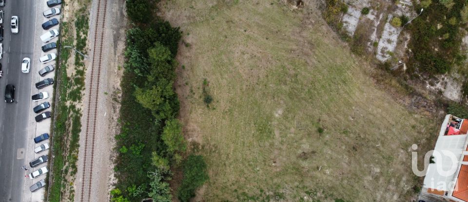 Terreno em Caldas da Rainha - Santo Onofre e Serra do Bouro de 4 000 m²