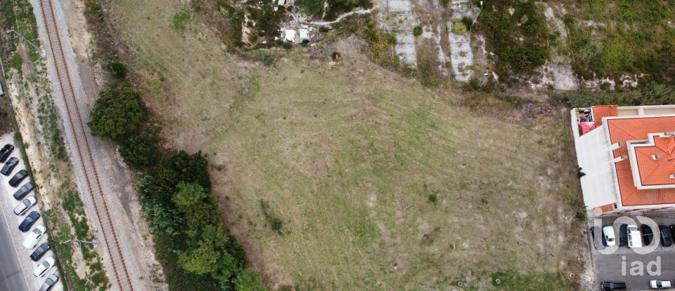 Terrain à Caldas da Rainha - Santo Onofre e Serra do Bouro de 4 000 m²