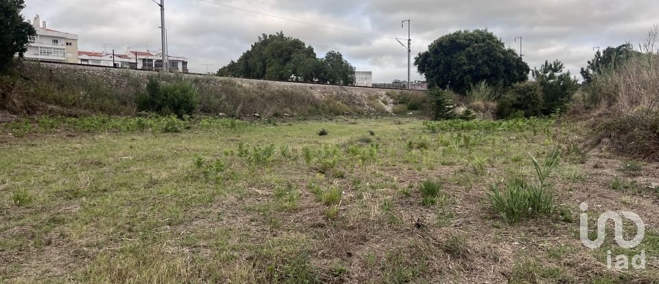 Terreno em Caldas da Rainha - Santo Onofre e Serra do Bouro de 4 000 m²