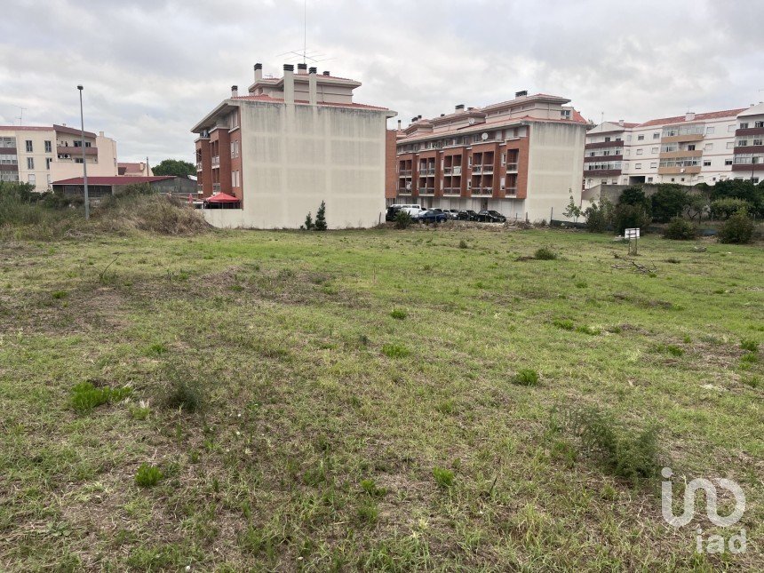 Terreno em Caldas da Rainha - Santo Onofre e Serra do Bouro de 4 000 m²