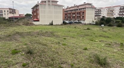 Terrain à Caldas da Rainha - Santo Onofre e Serra do Bouro de 4 000 m²