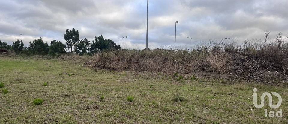 Terreno em Caldas da Rainha - Santo Onofre e Serra do Bouro de 4 000 m²