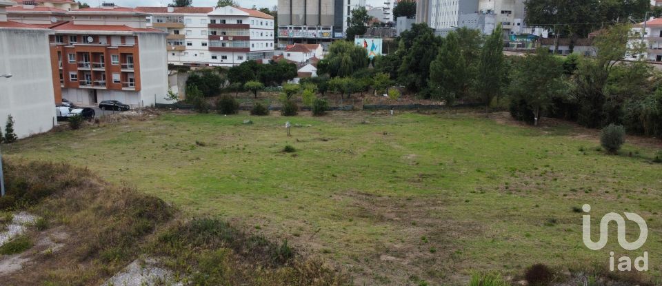 Terrain à Caldas da Rainha - Santo Onofre e Serra do Bouro de 4 000 m²