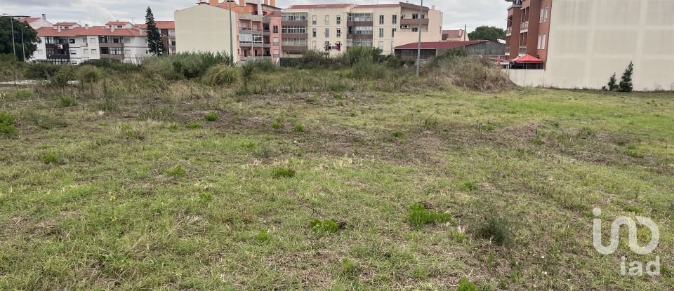 Terreno em Caldas da Rainha - Santo Onofre e Serra do Bouro de 4 000 m²