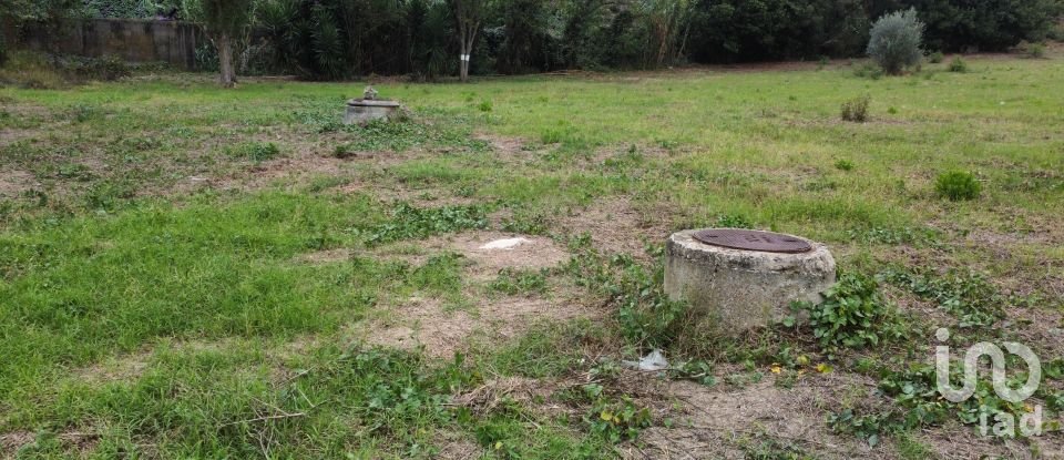 Terreno em Caldas da Rainha - Santo Onofre e Serra do Bouro de 4 000 m²